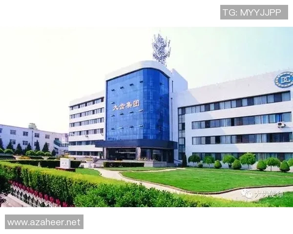 南京乒乓球队的辉煌征程与突破之路全景回顾