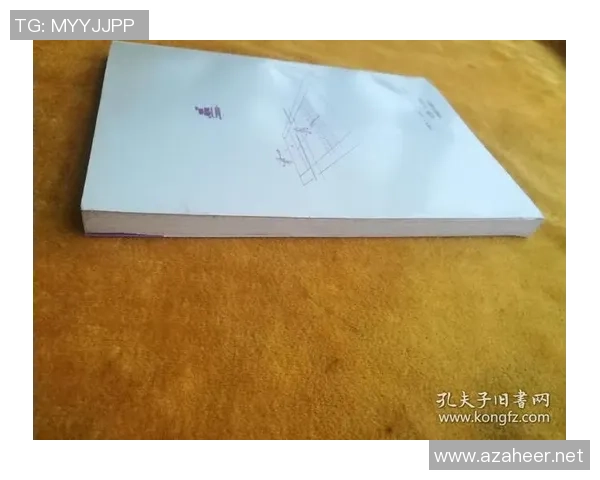 杭州网球队防守战术深度解析与实战应用探讨 杭州网球队防守战术深度解析与实战应用探讨