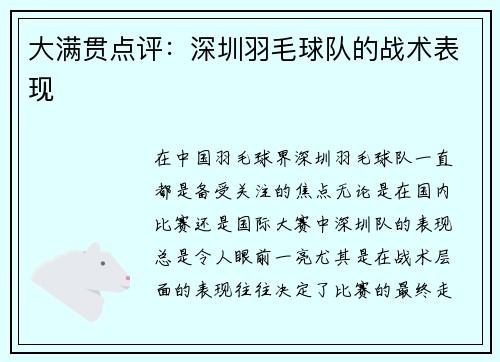 大满贯点评:深圳羽毛球队的战术表现