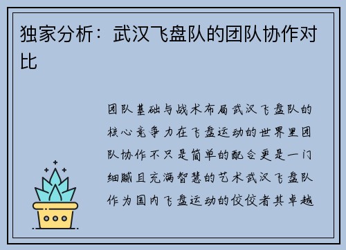 独家分析:武汉飞盘队的团队协作对比